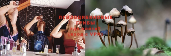 героин Белокуриха