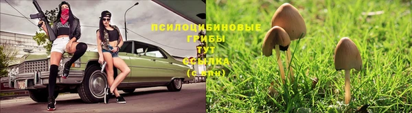 мескалин Беломорск